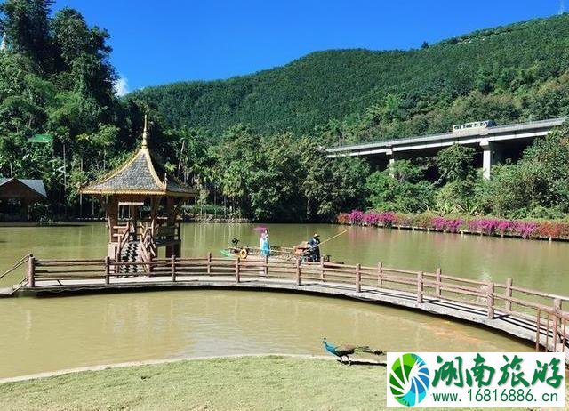 西双版纳旅游攻略(景点+交通+美食+注意事项) 西双版纳旅游攻略(景点+交通+美食+注意事项)
