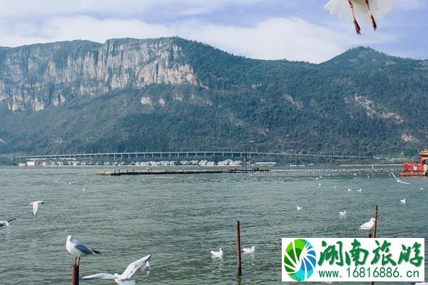云南滇西北旅游路线及攻略 云南滇西北旅游路线及攻略