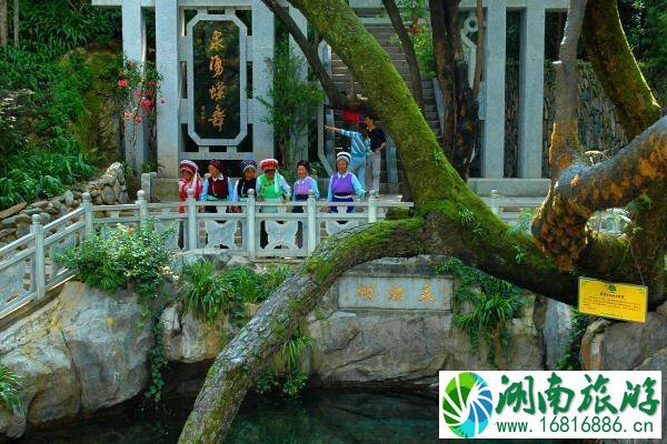 大理蝴蝶泉公园门票价格多少钱+优惠政策 大理蝴蝶泉公园门票价格多少钱+优惠政策