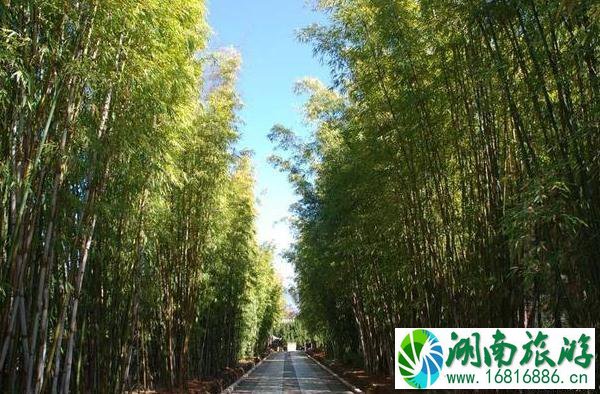 大理蝴蝶泉公园游记 大理蝴蝶泉公园游记