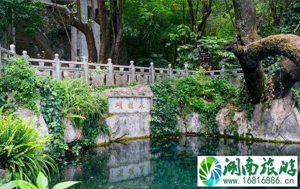 大理蝴蝶泉公园游记 大理蝴蝶泉公园游记