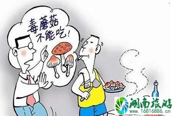 2021最新版云南常见毒菌大全 2021最新版云南常见毒菌大全