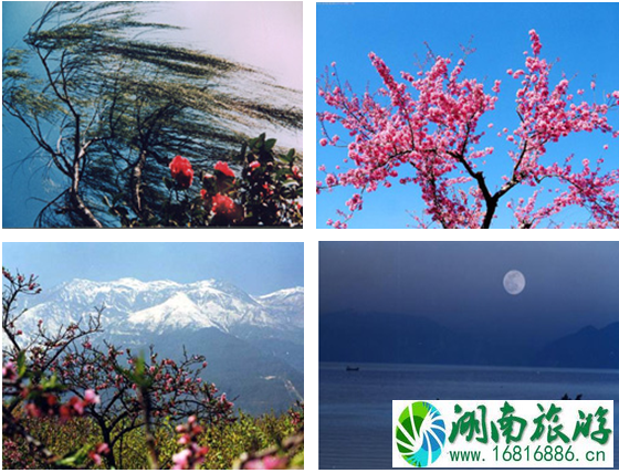 大理蜜月游攻略 大理蜜月旅游多少钱 大理蜜月游攻略 大理蜜月旅游多少钱