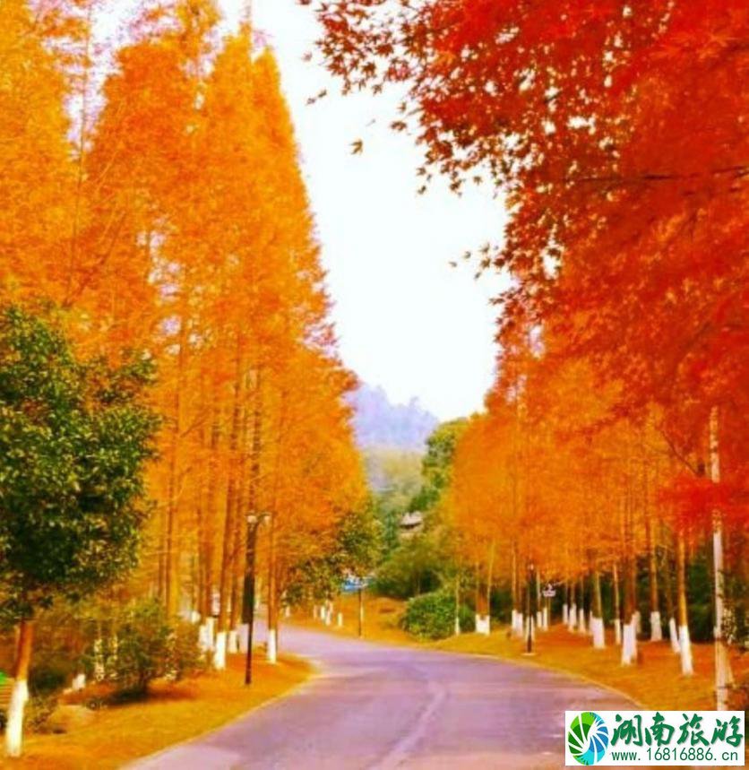 南昌舰主题公园开放时间 南昌舰主题公园地址 南昌舰主题公园开放时间 南昌舰主题公园地址