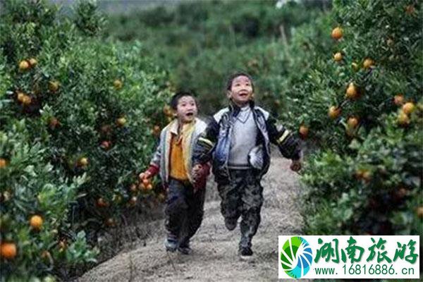南昌周边采摘橘子的地方 南昌周边采摘橘子的地方