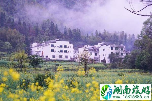 婺源江岭景区怎么样 婺源江岭好玩吗 婺源江岭景区怎么样 婺源江岭好玩吗