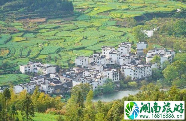 婺源江岭景区怎么样 婺源江岭好玩吗 婺源江岭景区怎么样 婺源江岭好玩吗