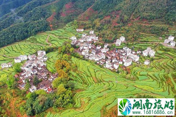 婺源江岭景区怎么样 婺源江岭好玩吗 婺源江岭景区怎么样 婺源江岭好玩吗
