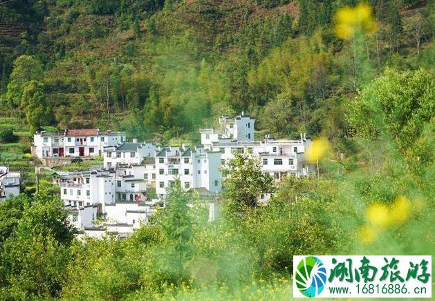 婺源江岭景区怎么样 婺源江岭好玩吗 婺源江岭景区怎么样 婺源江岭好玩吗