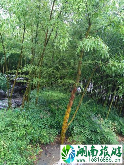 扬州有哪些好玩的地方 扬州有什么好吃的 扬州有哪些好玩的地方 扬州有什么好吃的