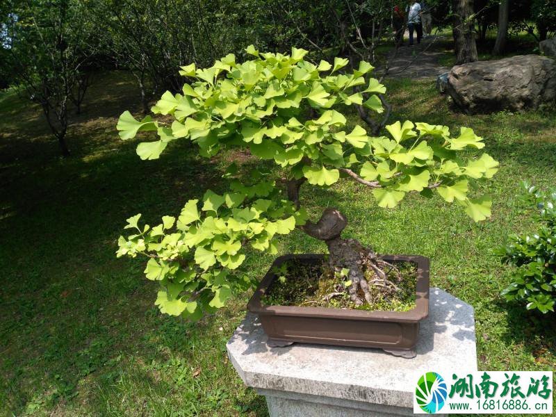 扬州有哪些好玩的地方 扬州有什么好吃的 扬州有哪些好玩的地方 扬州有什么好吃的