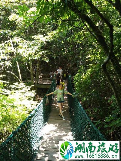 千岛湖有哪些景点 无锡到千岛湖旅游怎么计划 千岛湖有哪些景点 无锡到千岛湖旅游怎么计划
