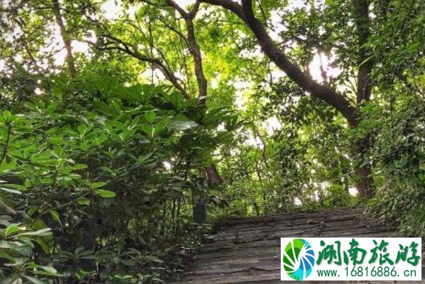 南京免费爬山的地方有哪些