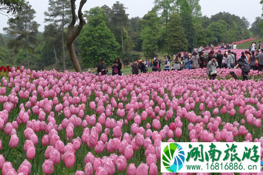 2022三八妇女节成都石象湖门票优惠活动 2022三八妇女节成都石象湖门票优惠活动