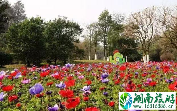 成都22个免费景点有哪些 成都免费景点2022 成都22个免费景点有哪些 成都免费景点2022