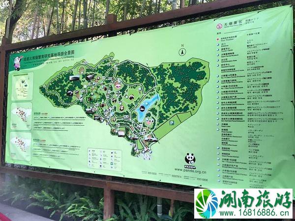 成都旅游攻略景点必去 去成都怎么玩 成都旅游攻略景点必去 去成都怎么玩