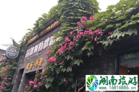 成都宽窄巷子美食推荐 宽窄巷子美食攻略 成都宽窄巷子美食推荐 宽窄巷子美食攻略