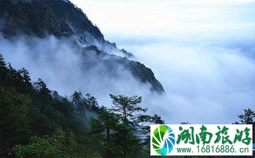 成都九峰山门票多少钱 2022成都九峰山门票价格 成都九峰山门票多少钱 2022成都九峰山门票价格