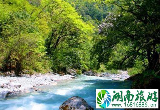 雅安宝康路 川西自驾游新通路线