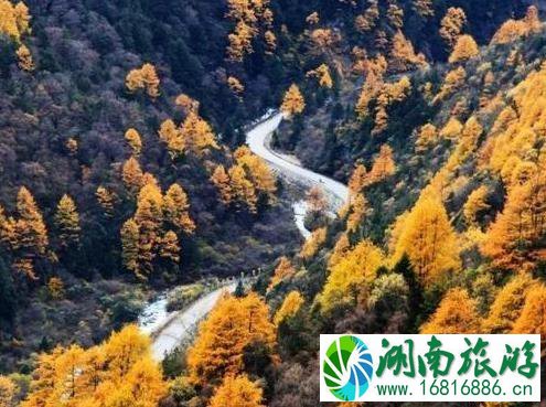 四川赏红叶的地方 四川赏秋六日游行程安排 四川赏红叶的地方 四川赏秋六日游行程安排