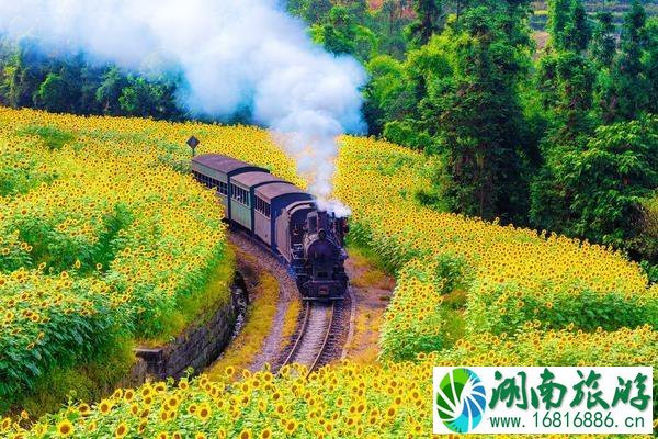 乐山热门景点排行榜 乐山热门景点排行榜