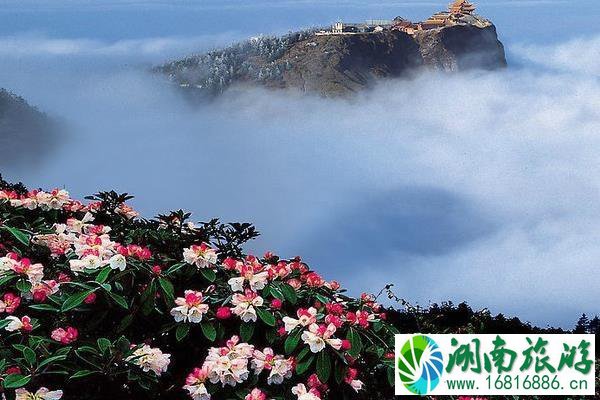 乐山热门景点排行榜 乐山热门景点排行榜