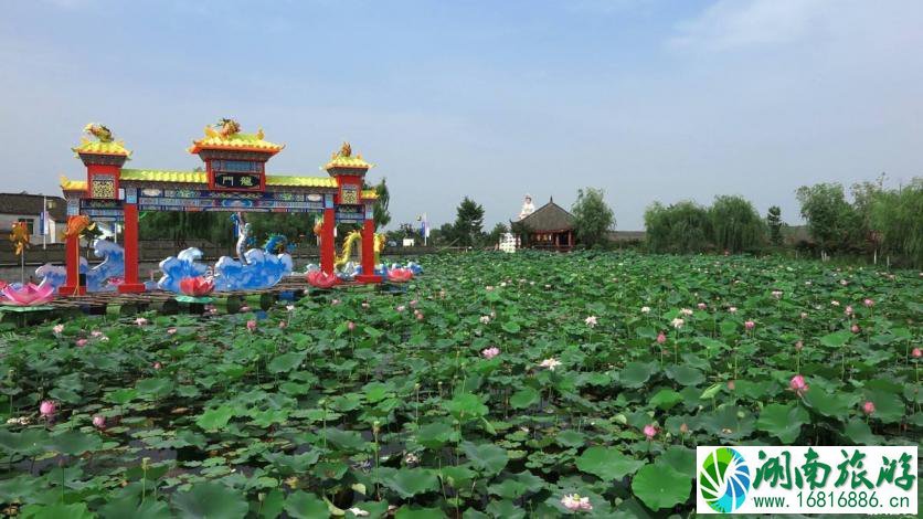 2022成都荷花最佳观赏时间+地址+门票+交通 2022成都荷花最佳观赏时间+地址+门票+交通