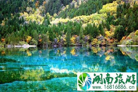 九寨沟安全吗 九寨沟夏天去好吗 九寨沟安全吗 九寨沟夏天去好吗