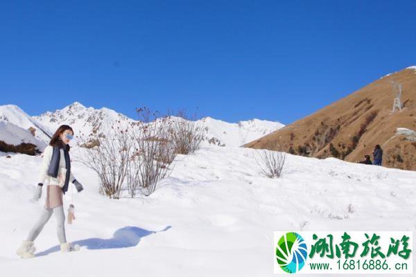 成都鹧鸪山跟团多少钱 成都到鹧鸪山旅游攻略 成都鹧鸪山跟团多少钱 成都到鹧鸪山旅游攻略