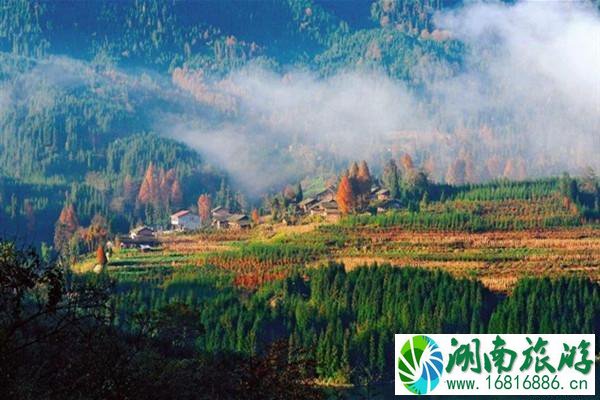 2020眉山洪雅县恢复开放景点及医护人员优惠政策 眉山瓦屋山游玩攻略 2020眉山洪雅县恢复开放景点及医护人员优惠政策 眉山瓦屋山游玩攻略