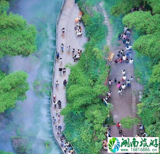 2020成都平乐古镇川西竹海景区开放时间 2020成都平乐古镇川西竹海景区开放时间