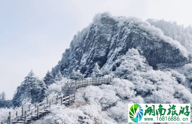 四川冬天适合旅游的地方有哪些 四川冬天适合旅游的地方有哪些
