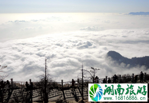 爬峨眉山需要注意什么 爬峨眉山注意事项 爬峨眉山需要注意什么 爬峨眉山注意事项