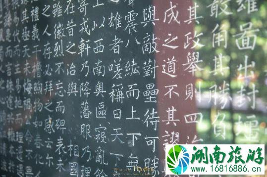 成都自由行攻略2022 成都自由行攻略2022