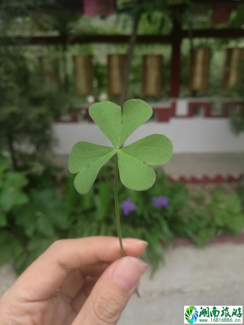九寨沟自驾游最佳路线图推荐 九寨沟自驾游最佳路线图推荐
