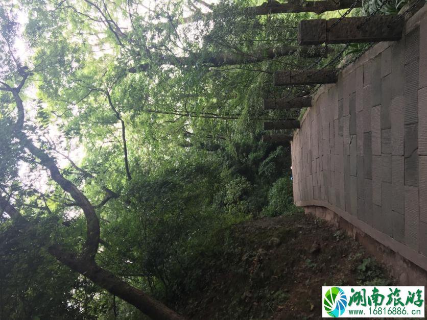 大学毕业去四川旅游有哪些好玩的地方 大学毕业去四川旅游有哪些好玩的地方