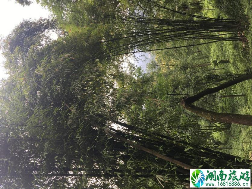 大学毕业去四川旅游有哪些好玩的地方 大学毕业去四川旅游有哪些好玩的地方