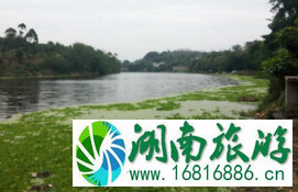 自贡仙市古镇 自贡仙市古镇好玩吗 自贡仙市古镇 自贡仙市古镇好玩吗