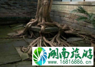 自贡仙市古镇 自贡仙市古镇好玩吗 自贡仙市古镇 自贡仙市古镇好玩吗