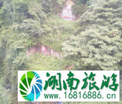 青城山的介绍 青城山风景区的历史 都江堰青城山一日游攻略 青城山的介绍 青城山风景区的历史 都江堰青城山一日游攻略