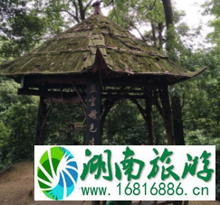 青城山的介绍 青城山风景区的历史 都江堰青城山一日游攻略 青城山的介绍 青城山风景区的历史 都江堰青城山一日游攻略