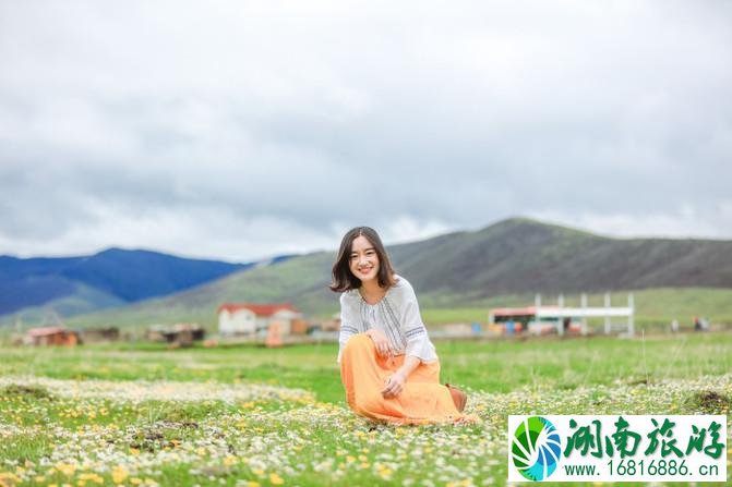 四川红原大草原自由行攻略 红原大草原花期是什么时候 四川红原大草原自由行攻略 红原大草原花期是什么时候