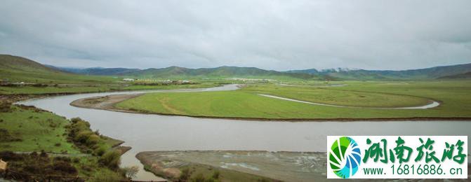 四川红原大草原自由行攻略 红原大草原花期是什么时候 四川红原大草原自由行攻略 红原大草原花期是什么时候