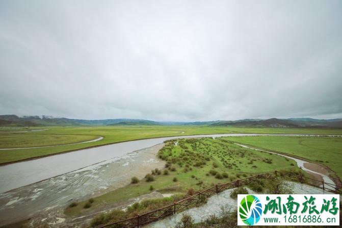 四川红原大草原自由行攻略 红原大草原花期是什么时候 四川红原大草原自由行攻略 红原大草原花期是什么时候