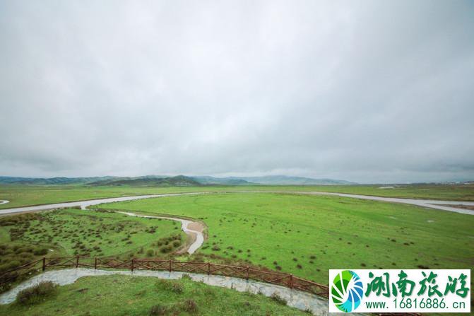 四川红原大草原自由行攻略 红原大草原花期是什么时候 四川红原大草原自由行攻略 红原大草原花期是什么时候