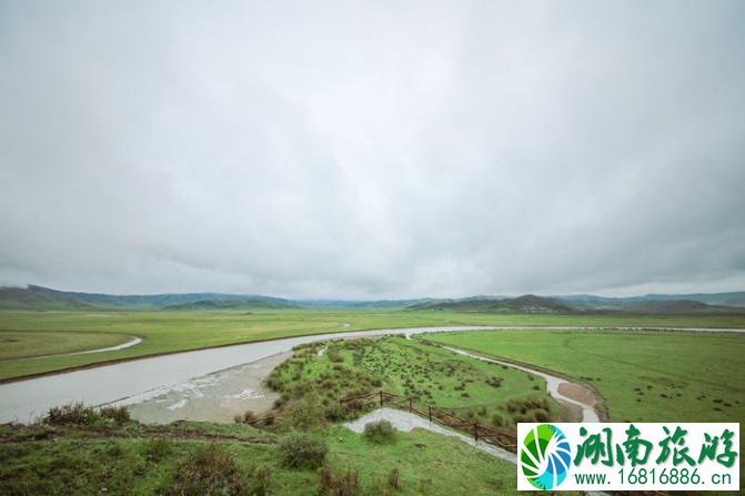 四川红原大草原自由行攻略 红原大草原花期是什么时候 四川红原大草原自由行攻略 红原大草原花期是什么时候
