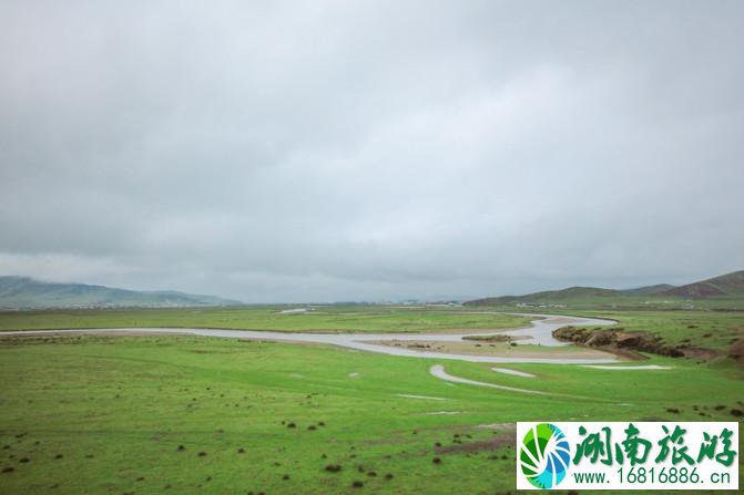 四川红原大草原自由行攻略 红原大草原花期是什么时候 四川红原大草原自由行攻略 红原大草原花期是什么时候