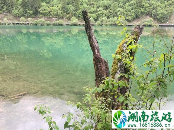 九寨沟自驾游最佳路线图推荐 九寨沟自驾游最佳路线图推荐