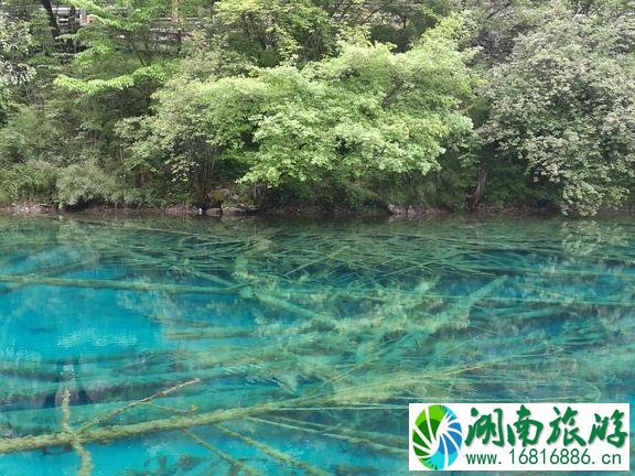 九寨沟自驾游最佳路线图推荐 九寨沟自驾游最佳路线图推荐