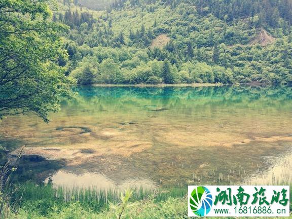 九寨沟自驾游最佳路线图推荐 九寨沟自驾游最佳路线图推荐
